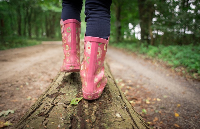 Ab in den Wald – Die Umweltspürnasen auf Achse