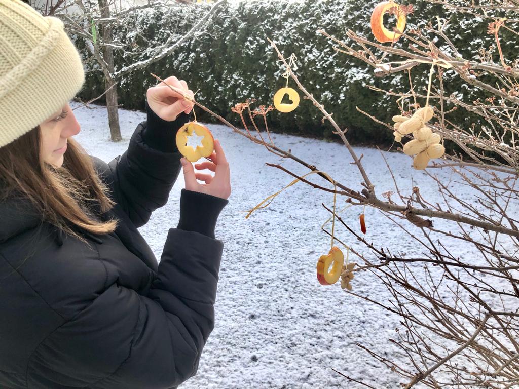 Der Weihnachtsauftrag in Biologie