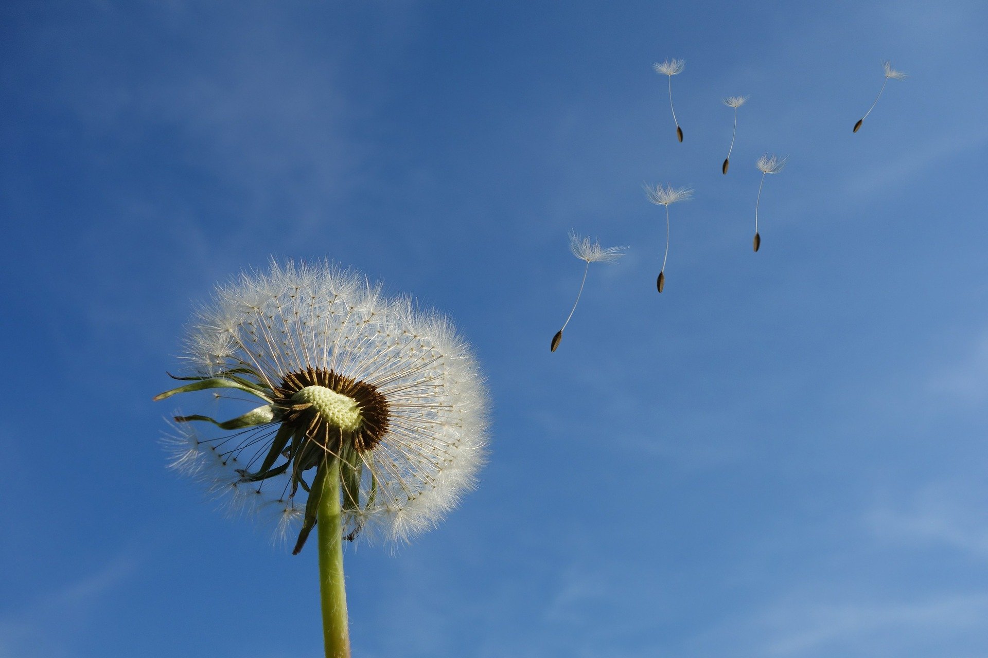 Sommer, Sonne, Ferienzeit!