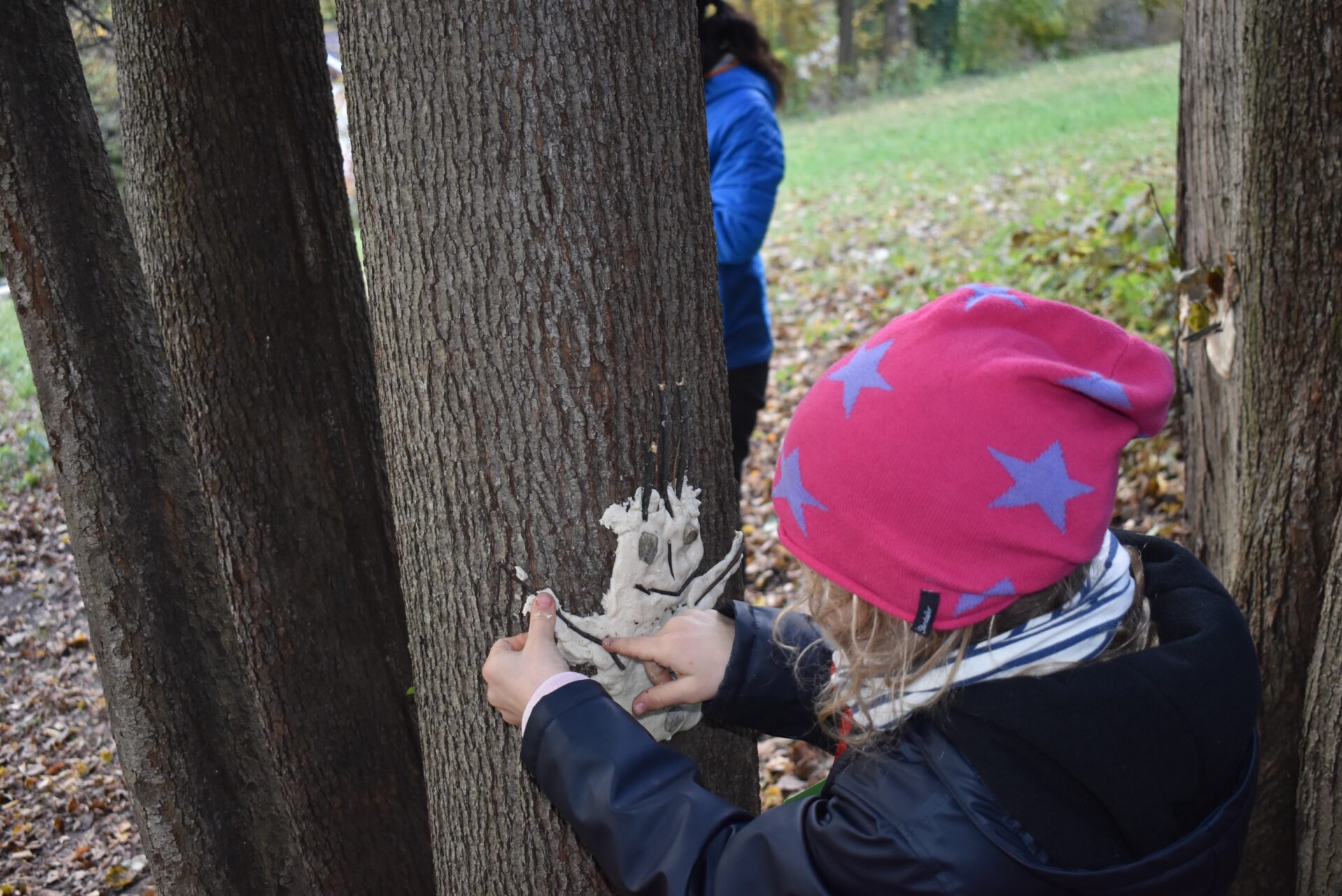 TATENDRANG – Projekt Waldtag im Mühlauer Fuchsloch & Projekt Lerncoaching mit der MS Kettenbrücke