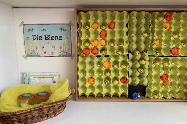 bienen-5-kbafep-innsbruck